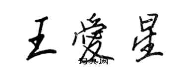 王正良王愛星行書個性簽名怎么寫