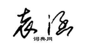 朱錫榮袁涵草書個性簽名怎么寫