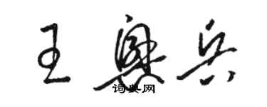 駱恆光王興兵草書個性簽名怎么寫