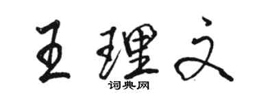 駱恆光王理文行書個性簽名怎么寫