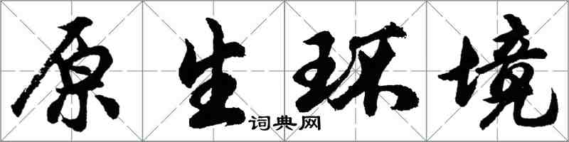 胡問遂原生環境行書怎么寫