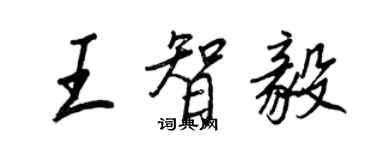 王正良王智毅行書個性簽名怎么寫