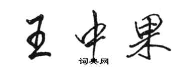 駱恆光王中果行書個性簽名怎么寫