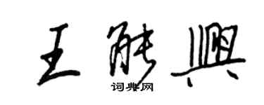 王正良王能興行書個性簽名怎么寫