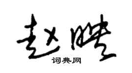 朱錫榮趙映草書個性簽名怎么寫