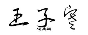 曾慶福王子寒草書個性簽名怎么寫