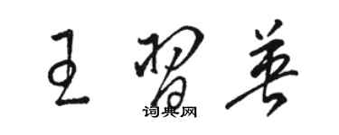 駱恆光王習英草書個性簽名怎么寫