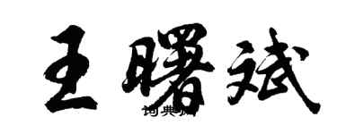 胡問遂王曙斌行書個性簽名怎么寫