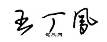 朱錫榮王丁鳳草書個性簽名怎么寫