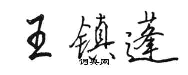 駱恆光王鎮蓬行書個性簽名怎么寫