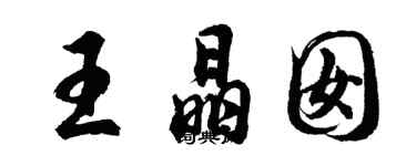 胡問遂王晶囡行書個性簽名怎么寫