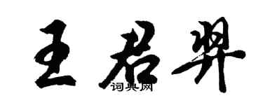 胡問遂王君羿行書個性簽名怎么寫