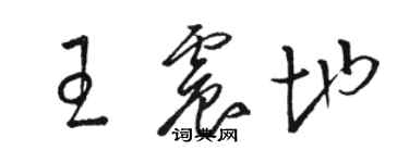駱恆光王震地草書個性簽名怎么寫