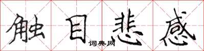 侯登峰觸目悲感楷書怎么寫