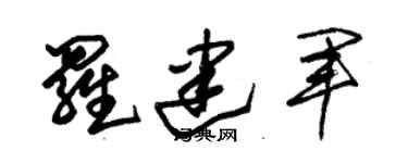 朱錫榮羅建軍草書個性簽名怎么寫