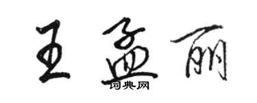 駱恆光王孟麗行書個性簽名怎么寫