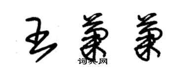 朱錫榮王菊菊草書個性簽名怎么寫