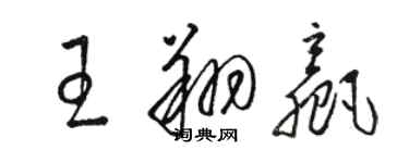 駱恆光王翔贏草書個性簽名怎么寫