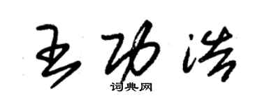 朱錫榮王功浩草書個性簽名怎么寫