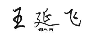 駱恆光王延飛行書個性簽名怎么寫
