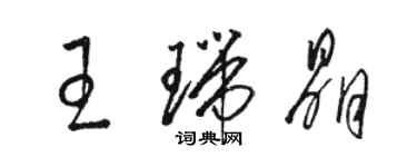 駱恆光王瑞晶草書個性簽名怎么寫