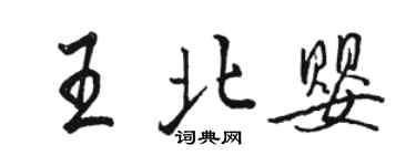 駱恆光王北嬰行書個性簽名怎么寫