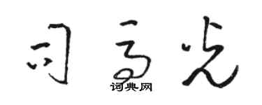 駱恆光司馬光草書個性簽名怎么寫