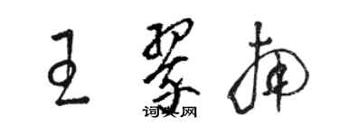 駱恆光王翠南草書個性簽名怎么寫