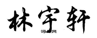 胡問遂林宇軒行書個性簽名怎么寫