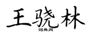 丁謙王驍林楷書個性簽名怎么寫