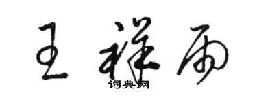 駱恆光王祥雨草書個性簽名怎么寫