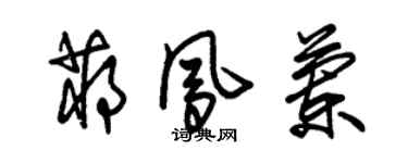朱錫榮蔣鳳蘭草書個性簽名怎么寫