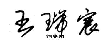 朱錫榮王瑞宸草書個性簽名怎么寫