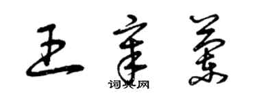 曾慶福王章蘭草書個性簽名怎么寫