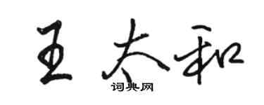 駱恆光王太和行書個性簽名怎么寫