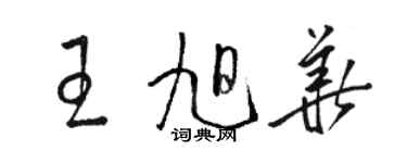 駱恆光王旭華草書個性簽名怎么寫