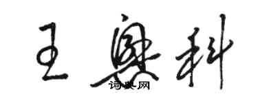 駱恆光王興科草書個性簽名怎么寫