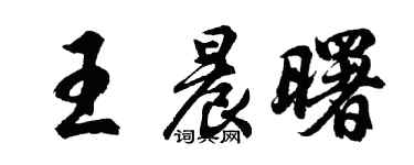 胡問遂王晨曙行書個性簽名怎么寫