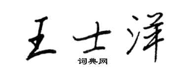 王正良王士洋行書個性簽名怎么寫