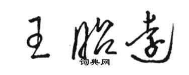 駱恆光王昭遠草書個性簽名怎么寫