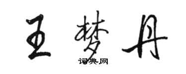 駱恆光王夢丹行書個性簽名怎么寫