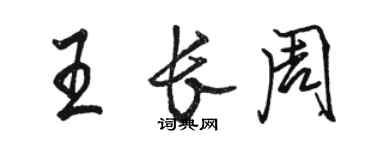 駱恆光王長周行書個性簽名怎么寫