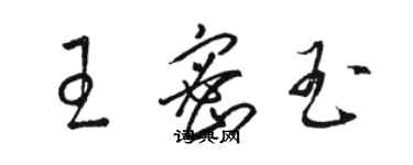 駱恆光王密玉草書個性簽名怎么寫