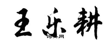 胡問遂王樂耕行書個性簽名怎么寫