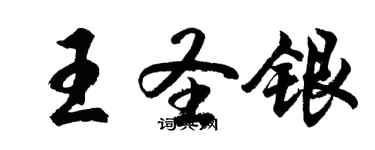 胡問遂王聖銀行書個性簽名怎么寫