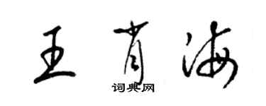 梁錦英王肖海草書個性簽名怎么寫