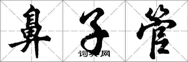 胡問遂鼻子管行書怎么寫