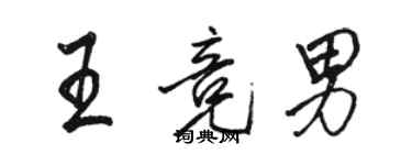 駱恆光王競男行書個性簽名怎么寫