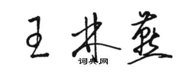 駱恆光王林燕草書個性簽名怎么寫