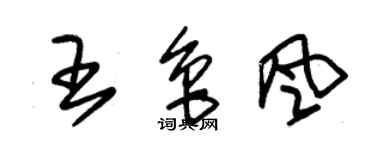 朱錫榮王魯風草書個性簽名怎么寫